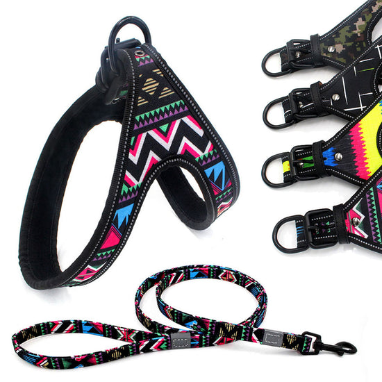 Colorful Dog Leash – Reflective, Adjustable, Explosion-Proof