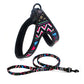 Colorful Dog Leash – Reflective, Adjustable, Explosion-Proof