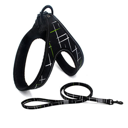 Colorful Dog Leash – Reflective, Adjustable, Explosion-Proof