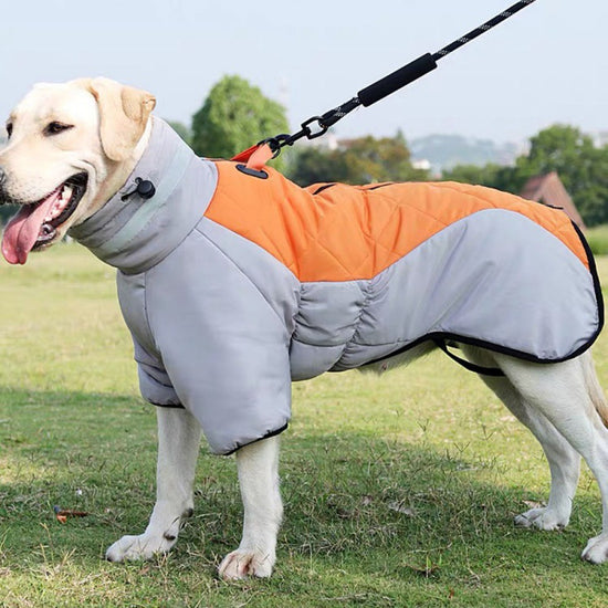 New Winter Dog Coat – Waterproof Warm Jacket for Medium & Large Dogs