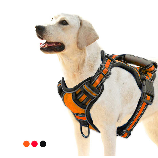No-Pull Dog Harness – Breathable Reflective Pet Vest
